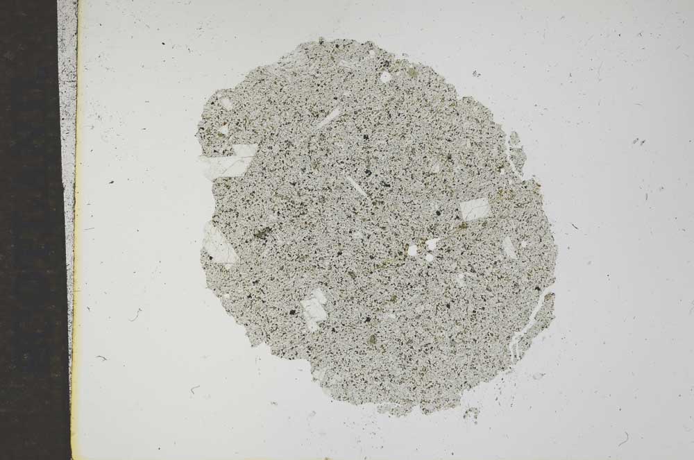 Plane Polarized, S16995