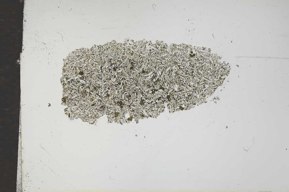 Plane Polarized, S16996