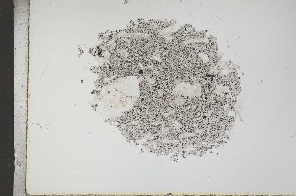 Plane Polarized, S16997