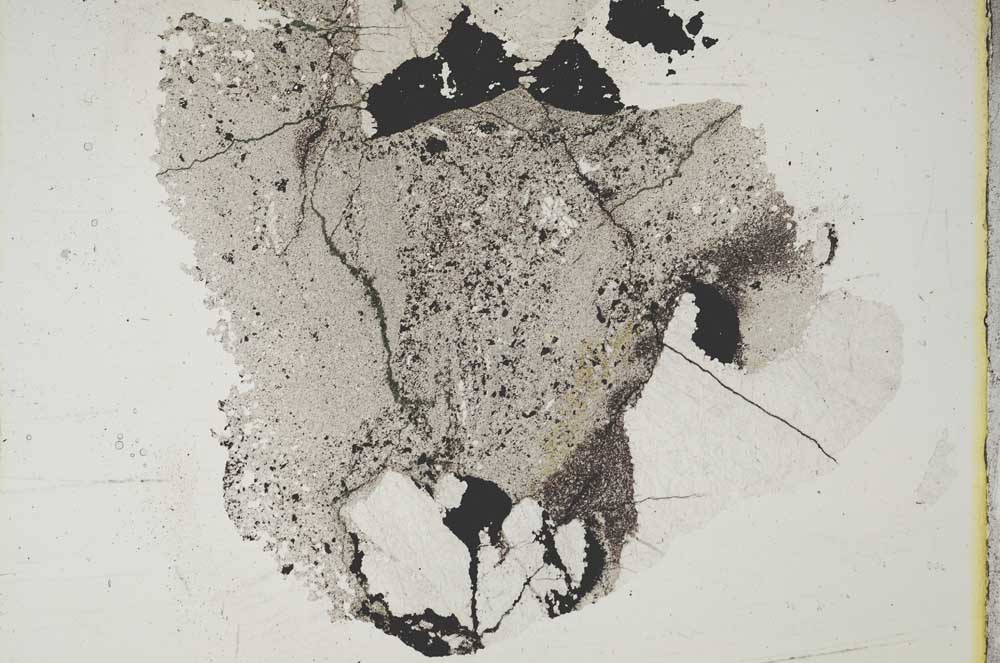 Plane Polarized, S17019