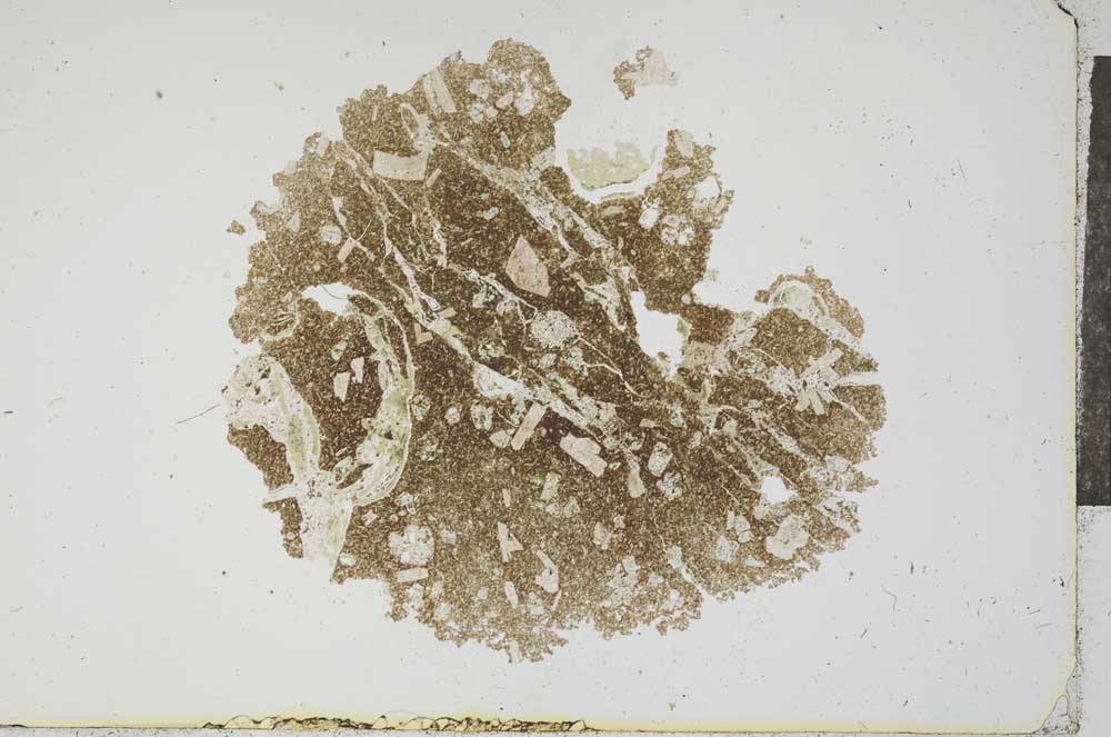 Plane Polarized, S17035