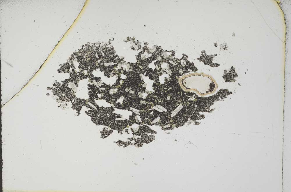 Plane Polarized, S17036