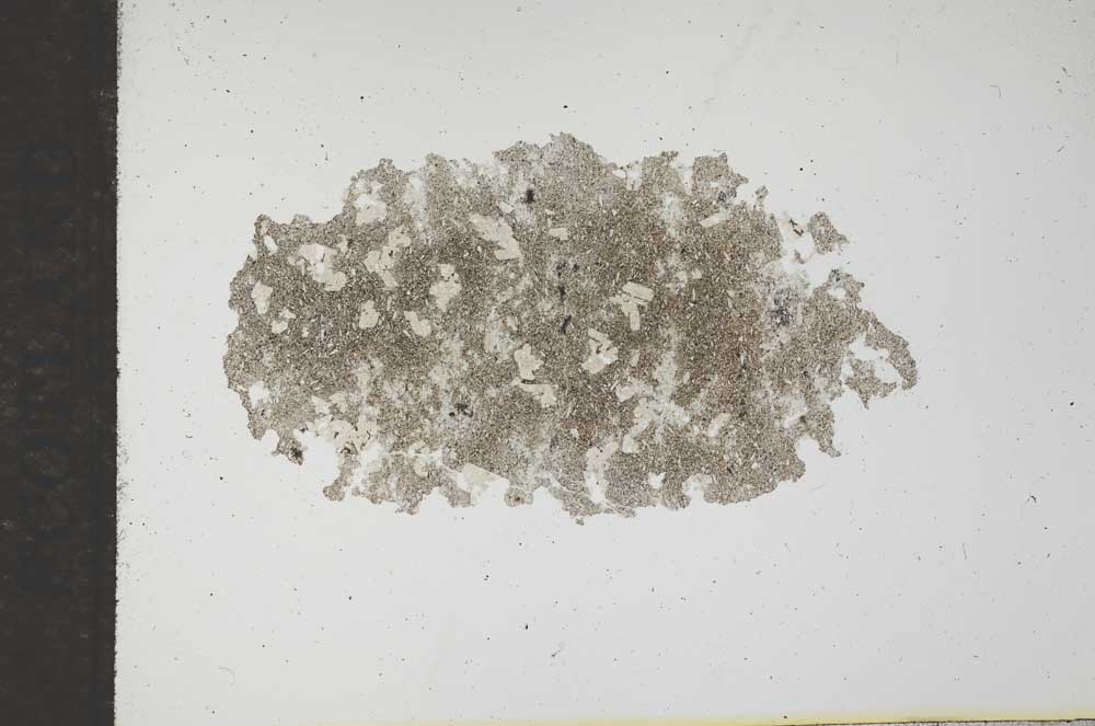 Plane Polarized, S17039