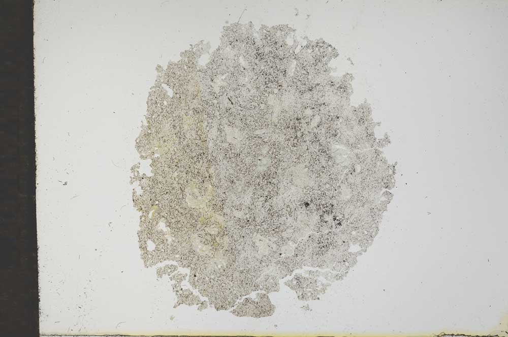 Plane Polarized, S17040