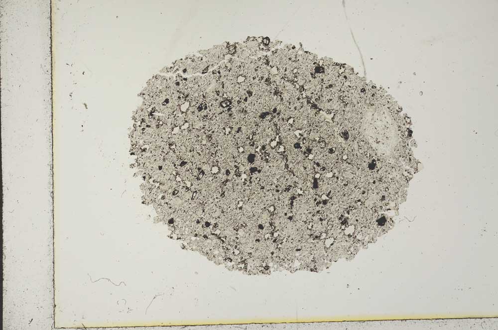 Plane Polarized, S17041