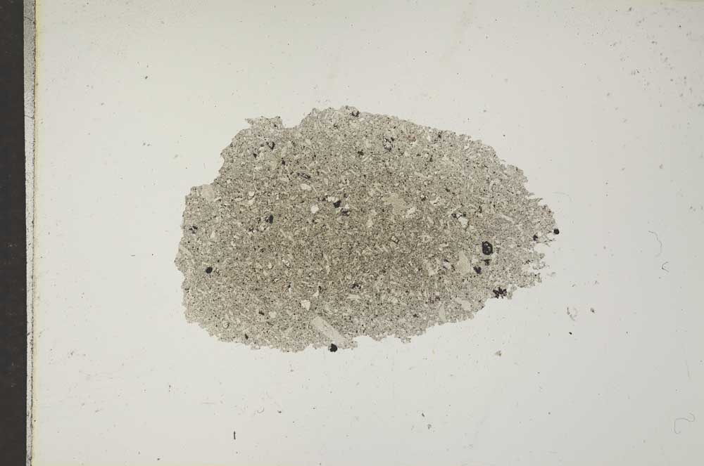 Plane Polarized, S17042