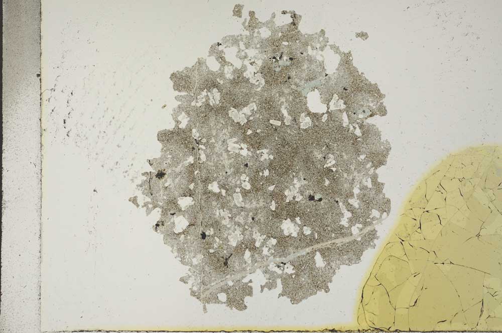 Plane Polarized, S17043