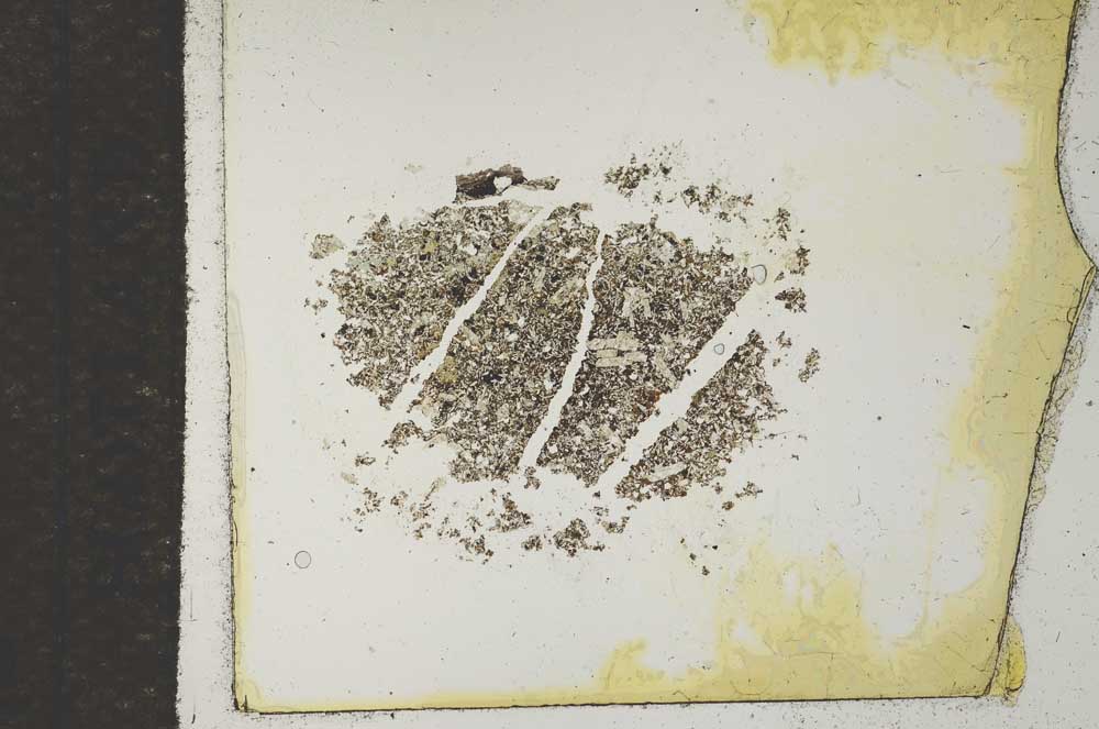 Plane Polarized, S17045