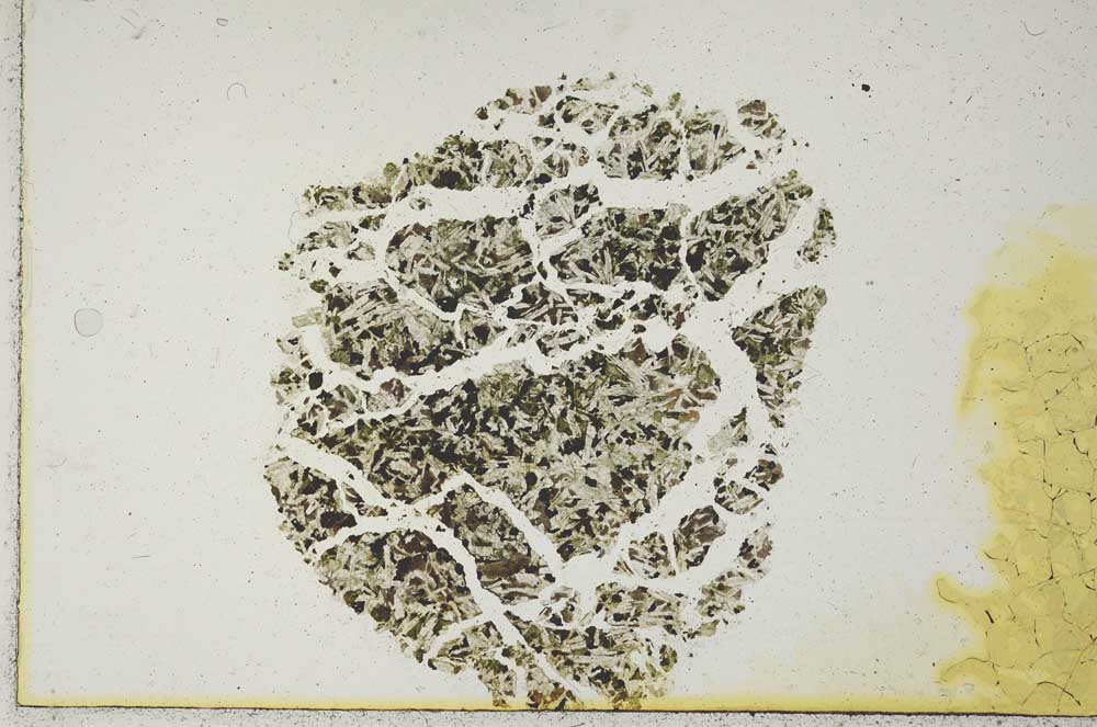 Plane Polarized, S17050