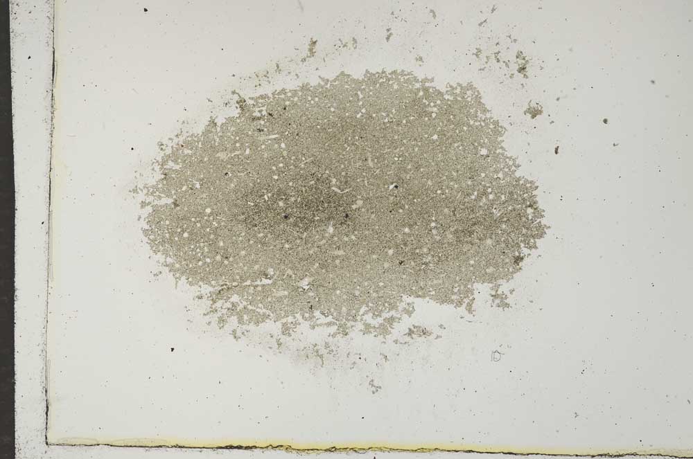 Plane Polarized, S17057