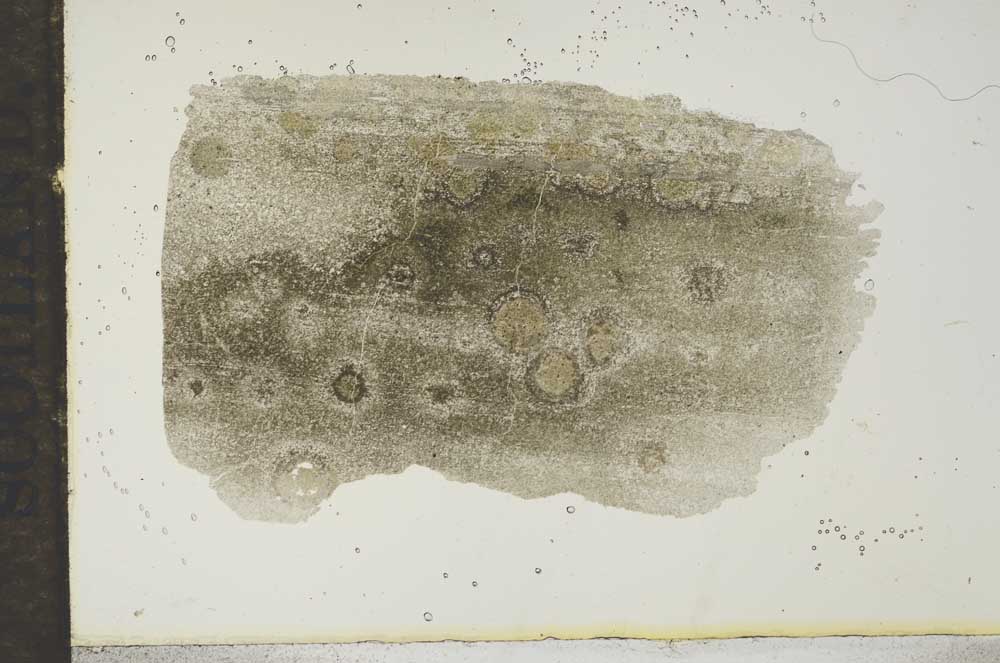 Plane Polarized, S17082