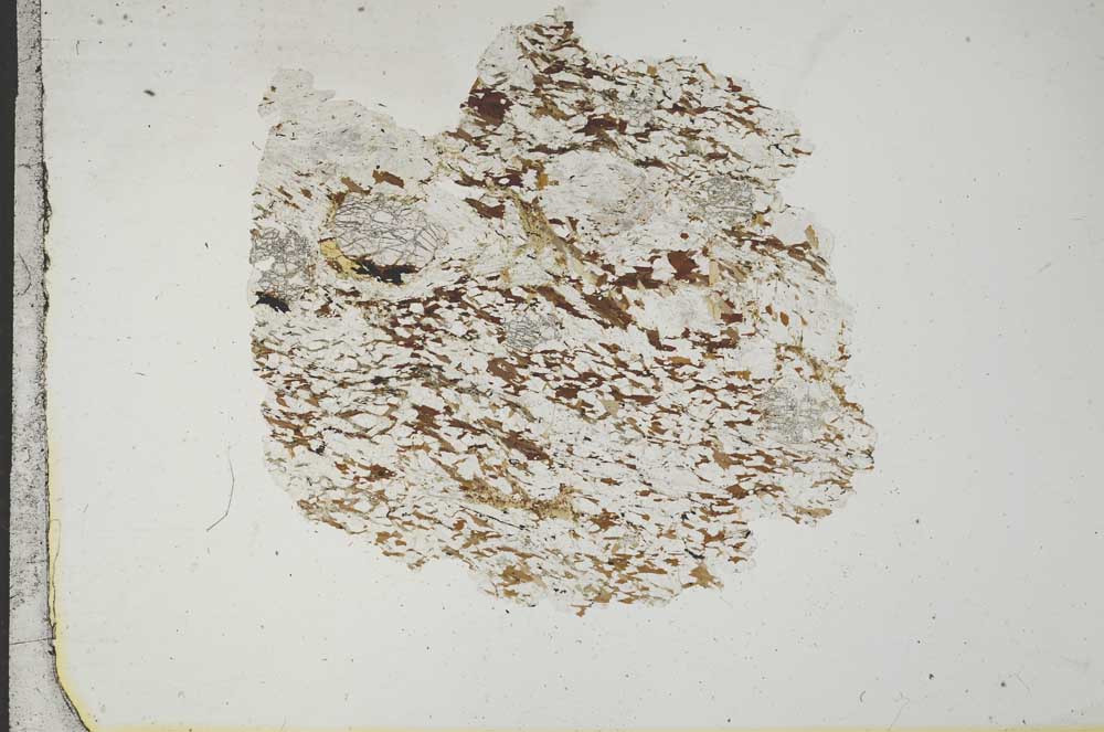 Plane Polarized, S17092