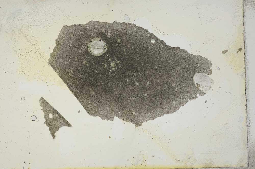 Plane Polarized, S17097