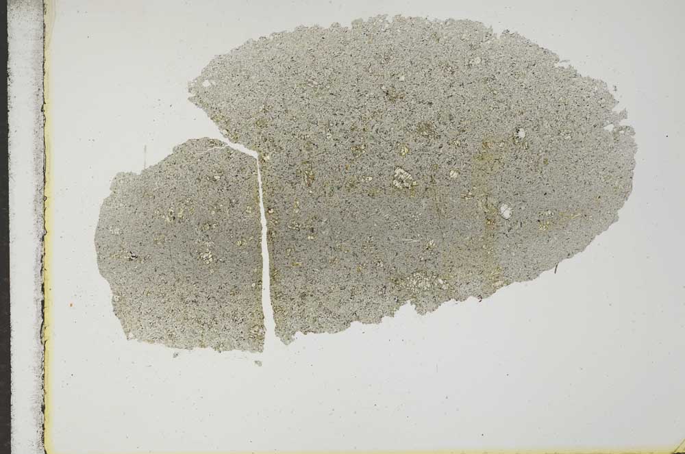 Plane Polarized, S17115