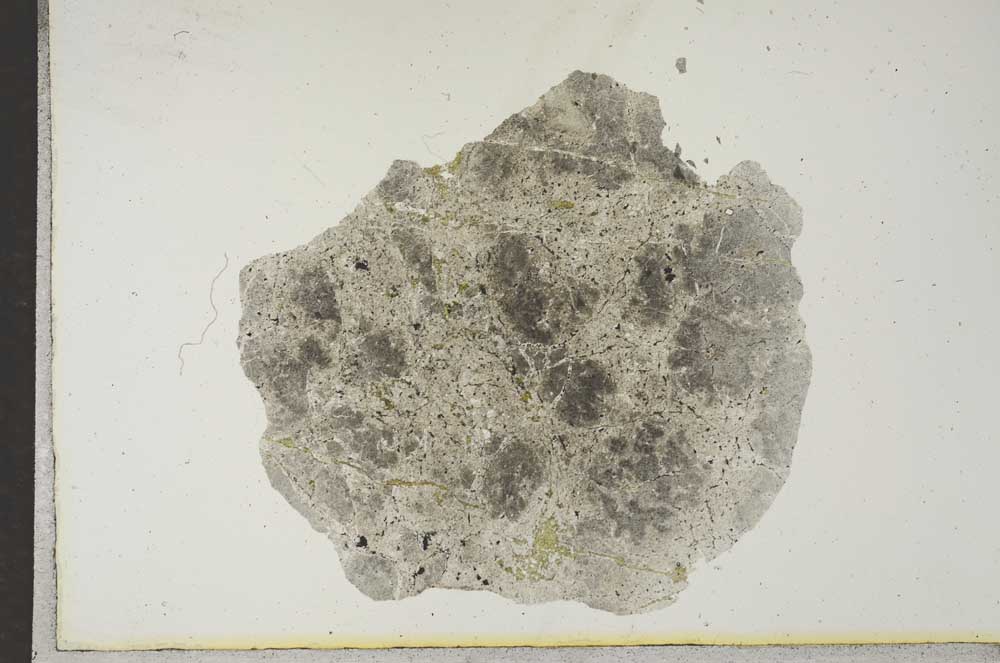 Plane Polarized, S17137