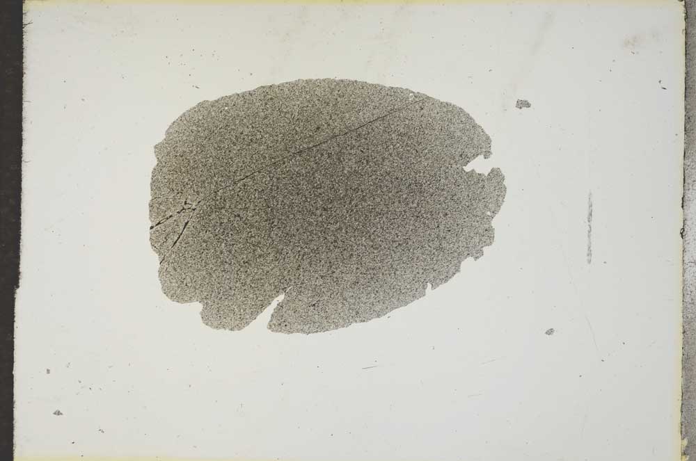 Plane Polarized, S17138