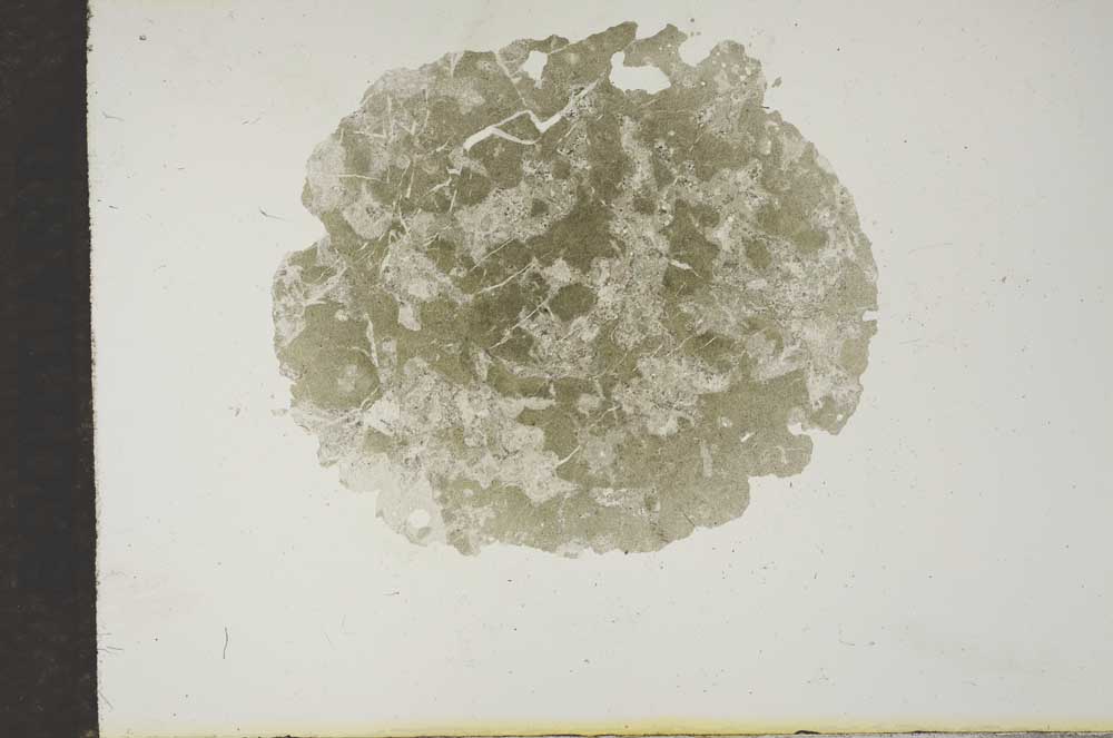 Plane Polarized, S17140