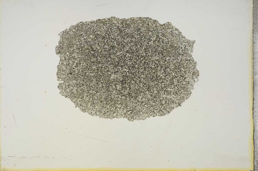 Plane Polarized, S17142