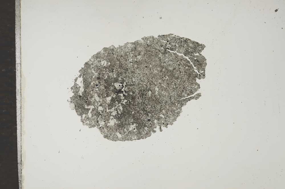 Plane Polarized, S17143