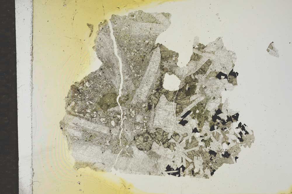 Plane Polarized, S17146
