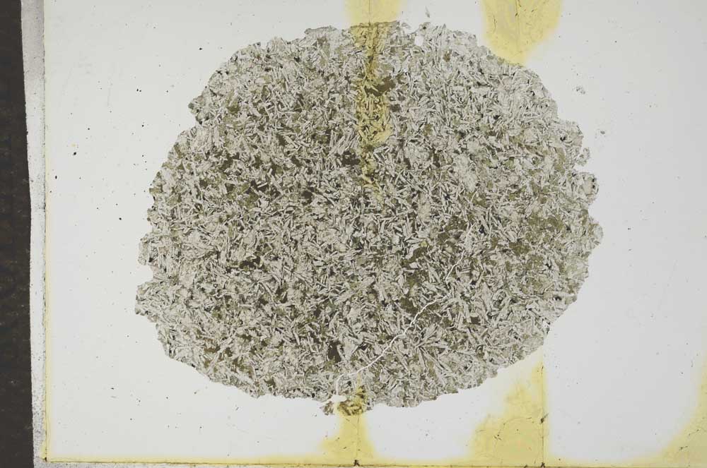 Plane Polarized, S17148