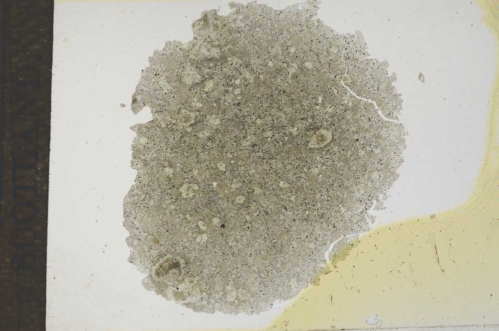 Plane Polarized, S17153
