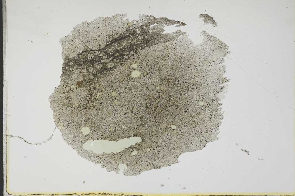 Plane Polarized, S17167
