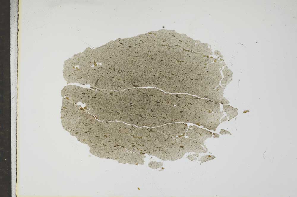 Plane Polarized, S17168