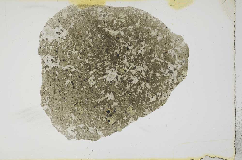 Plane Polarized, S17169