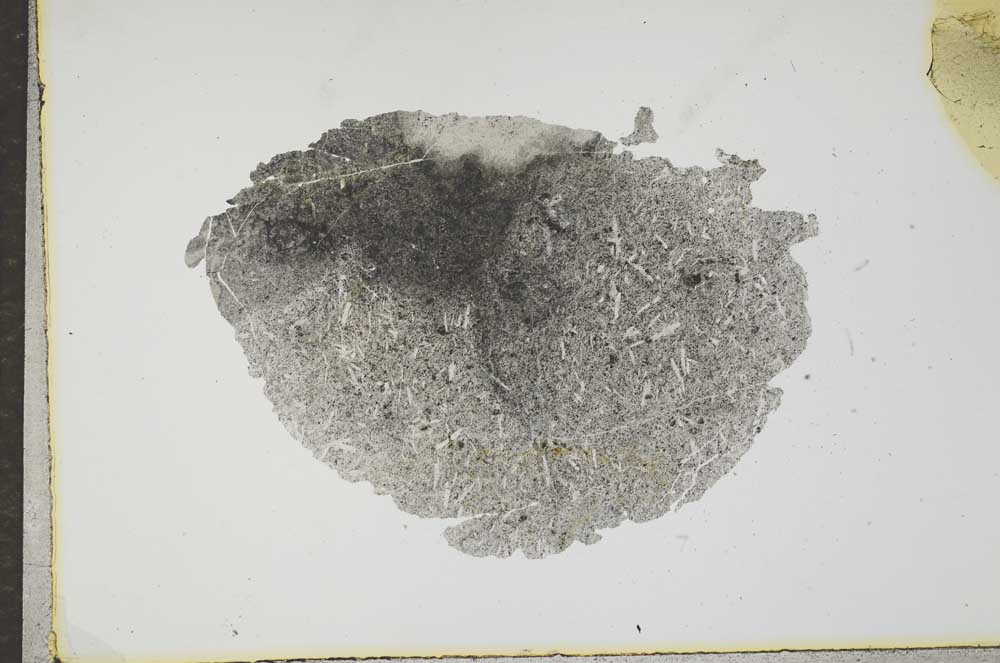 Plane Polarized, S17182