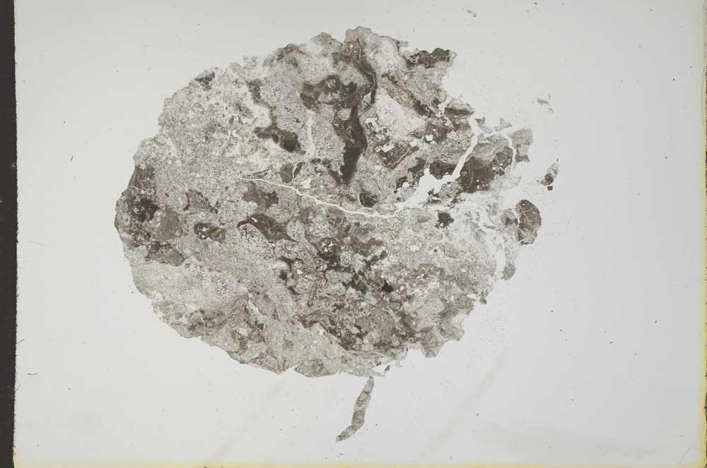 Plane Polarized, S17187