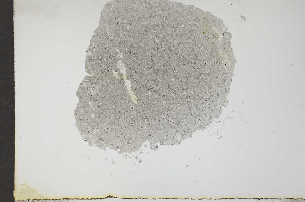 Plane Polarized, S17191