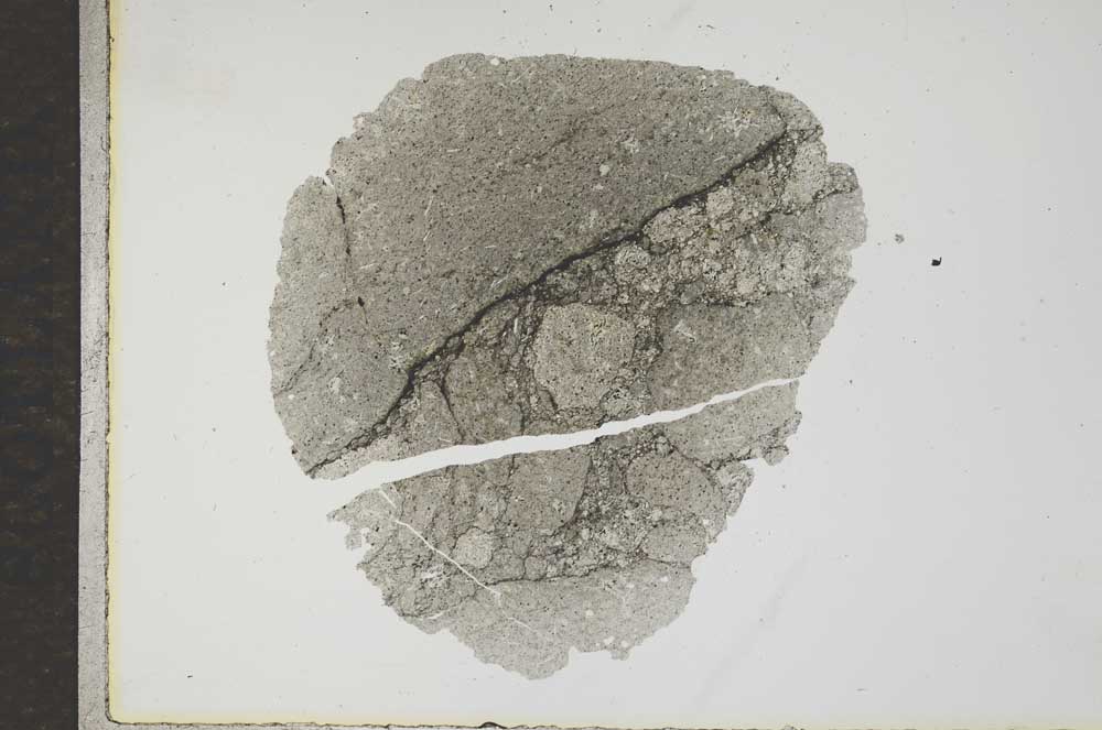 Plane Polarized, S17192
