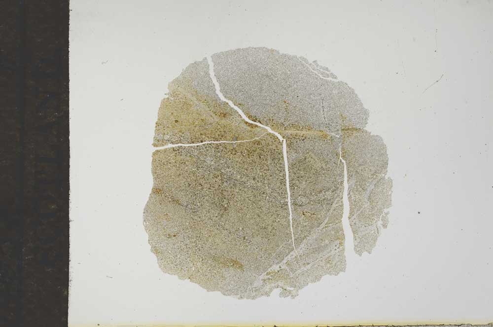 Plane Polarized, S17193