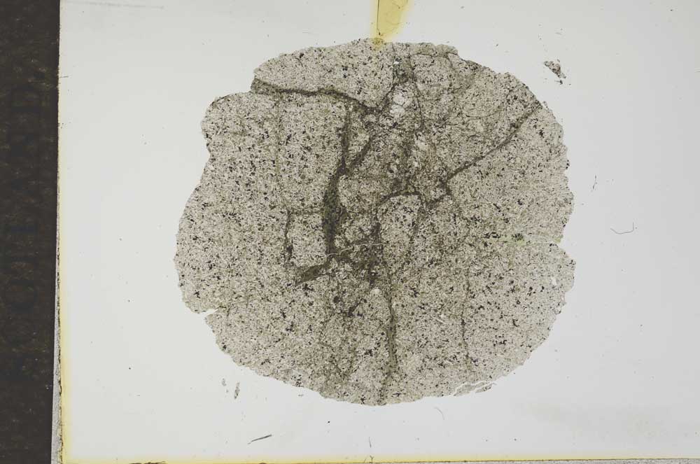 Plane Polarized, S17195