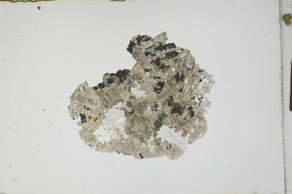 Plane Polarized, S17198