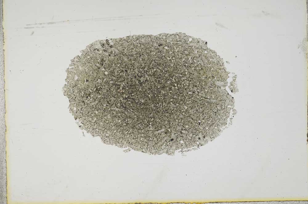 Plane Polarized, S17203