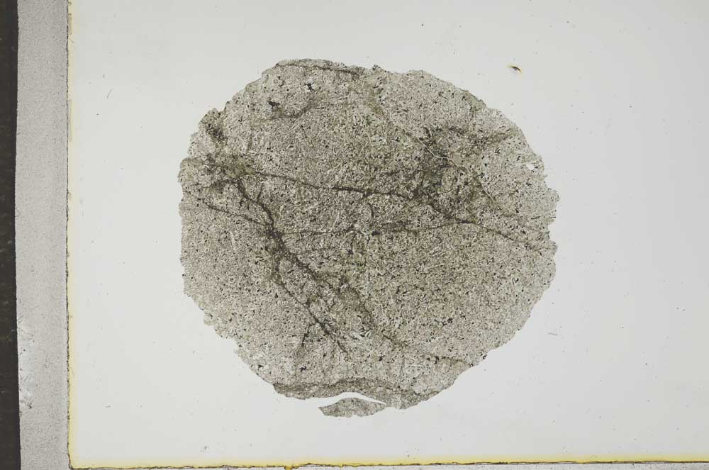 Plane Polarized, S17206