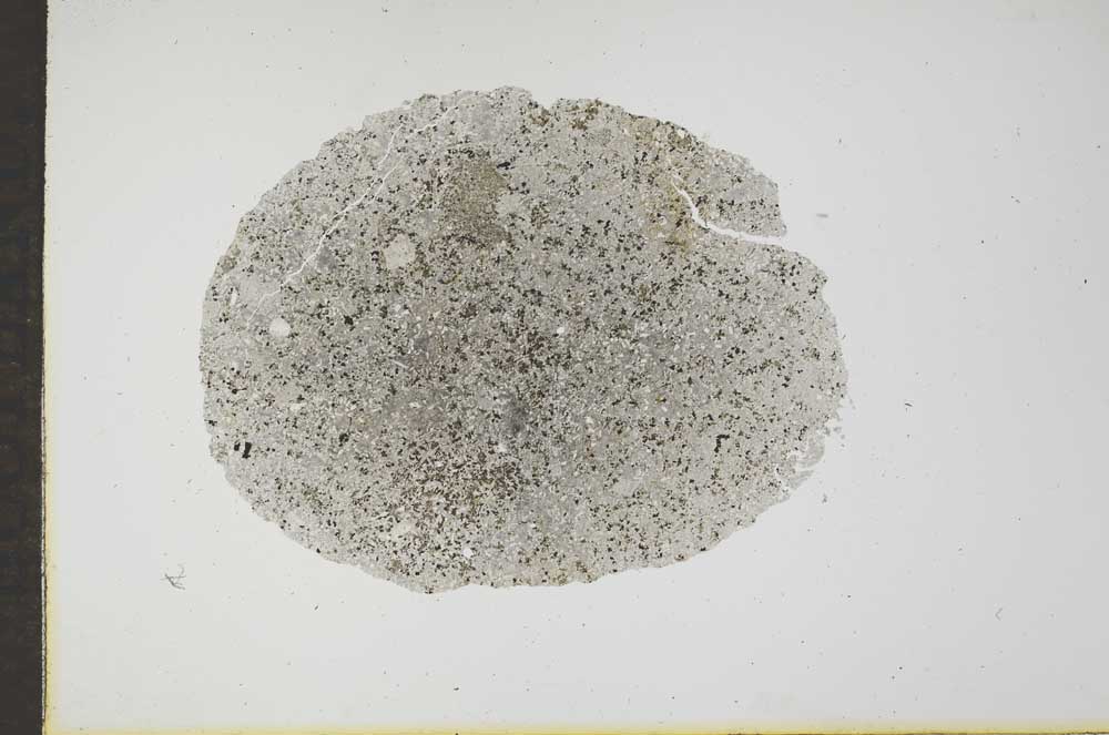 Plane Polarized, S17221