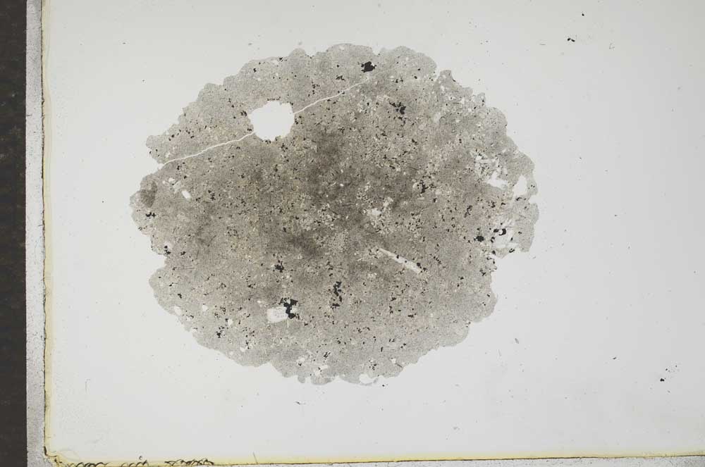 Plane Polarized, S17222