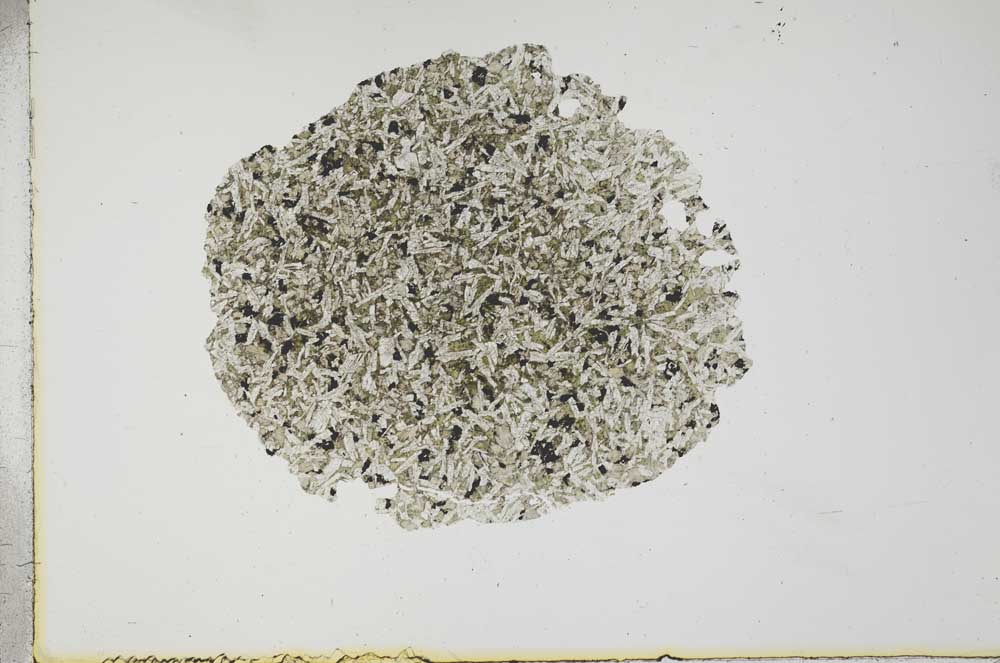 Plane Polarized, S17227