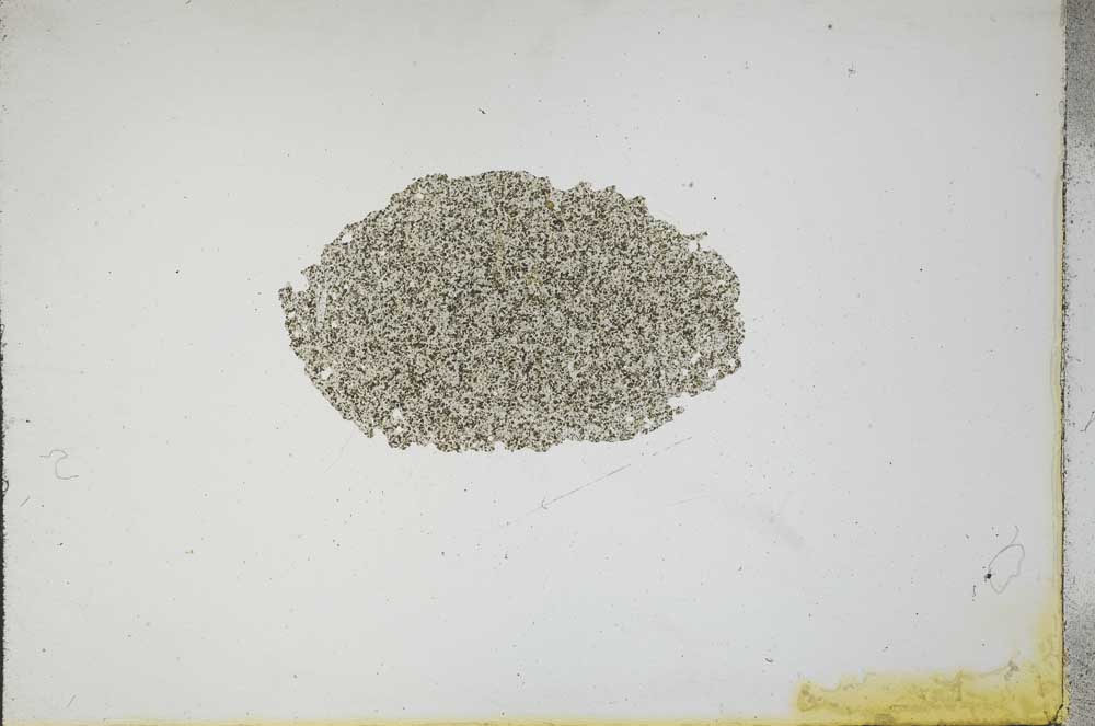 Plane Polarized, S17228