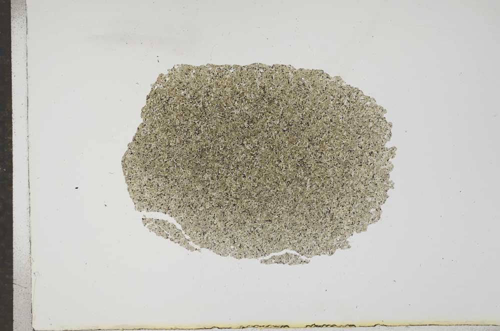 Plane Polarized, S17232