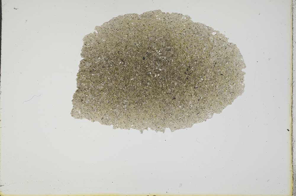 Plane Polarized, S17235