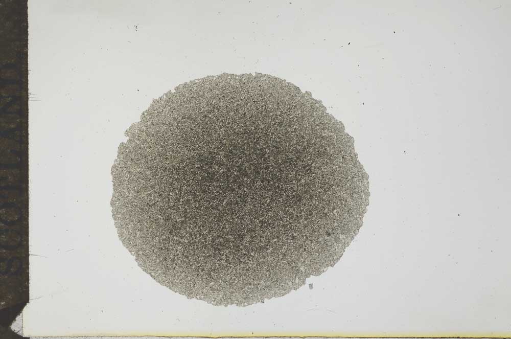 Plane Polarized, S17239