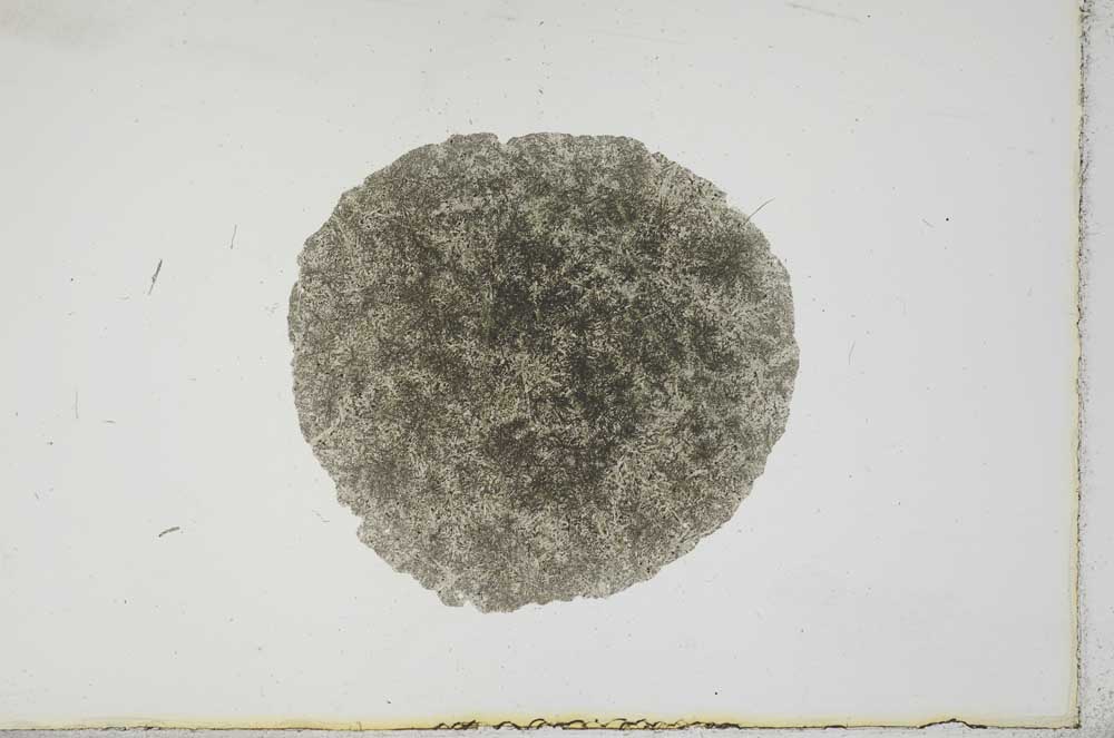 Plane Polarized, S17240