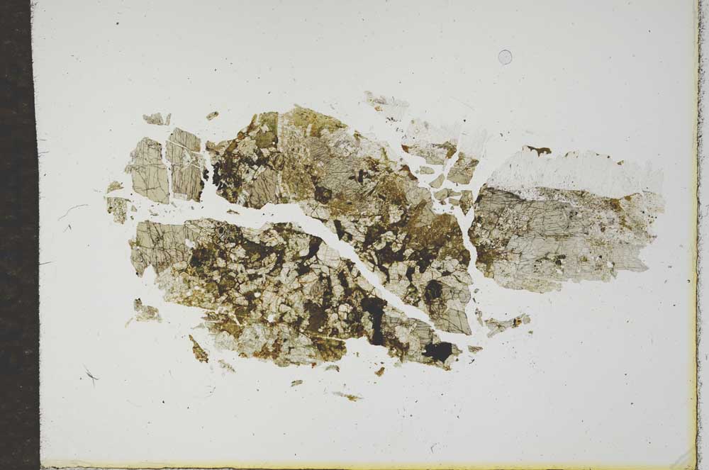 Plane Polarized, S17241