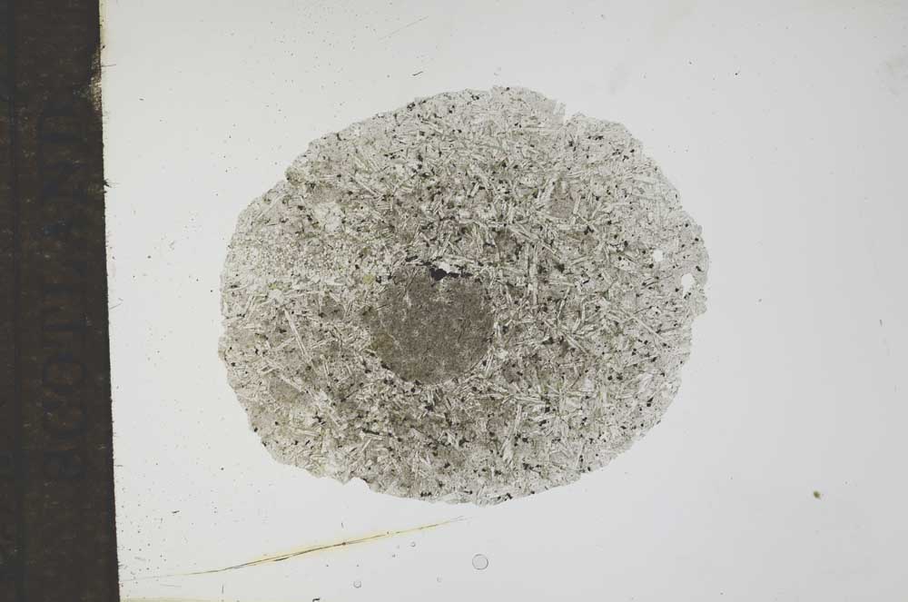 Plane Polarized, S17251