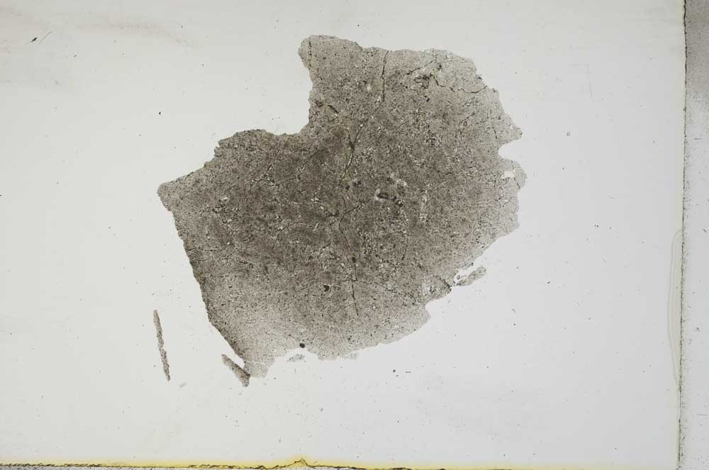 Plane Polarized, S17257