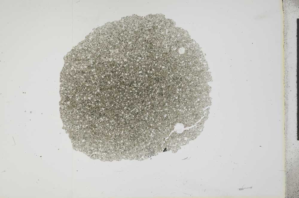 Plane Polarized, S17258